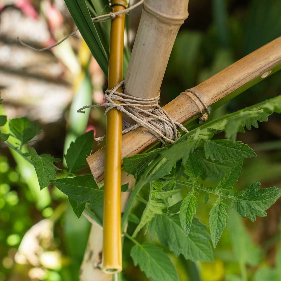 Nœud d'accroche tipi en bambou