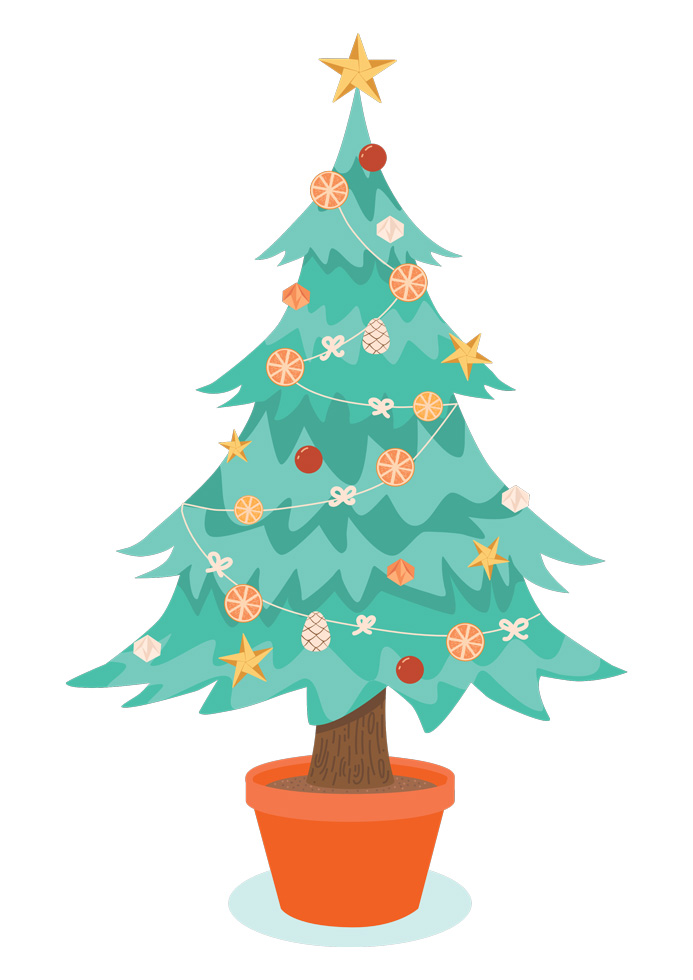 Sapin de Noël en pot