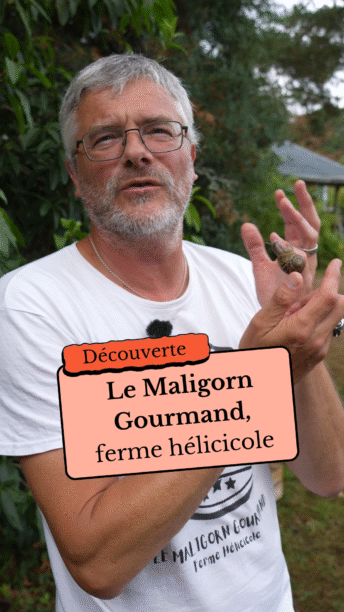 Les coulisses de l’héliciculture avec Le Maligorn Gourmand